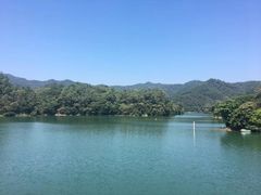 -三水森林公园