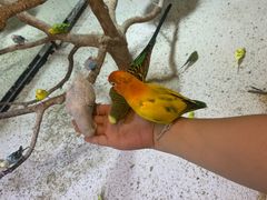 -上海大自然野生昆虫馆(东方明珠·爬宠昆虫探索中心)