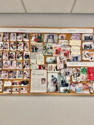 -杭州贝瑞斯美华妇儿医院·早孕·产检·儿科