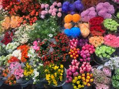 -双季花艺园艺市场(浦东店)