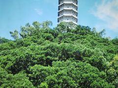 -深圳国际园林花卉博览园