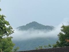 -西双版纳傣族园