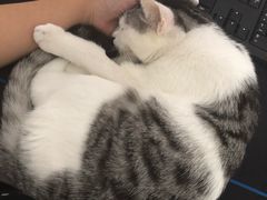 -惠康宠物医院(华能路店)