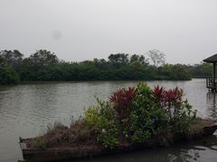 -大湾区中央湿地公园