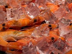 -味餐厅·海鲜·火锅·自助餐