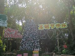 -绿光森林餐厅