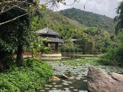 -亚龙湾热带天堂森林公园