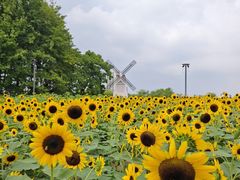 -苏州湾体育公园