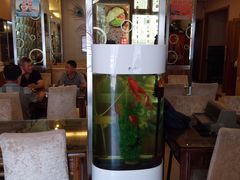 -沈阳烀饼香传统菜(龙门小区店)