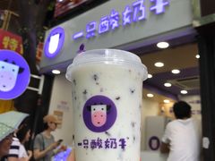 -一只酸奶牛(八一路店)