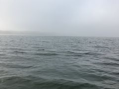 -西湖游船