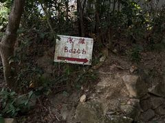 -南丫岛