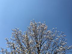-树山生态村