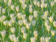 -长春公园(普阳街道)