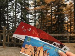 -芦芽山旅游度假区