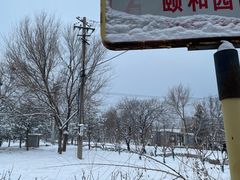 -颐和园