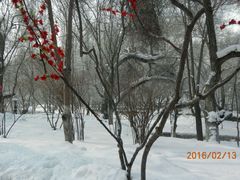 android_upload_pic-水磨沟公园