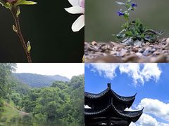 -长广溪湿地公园