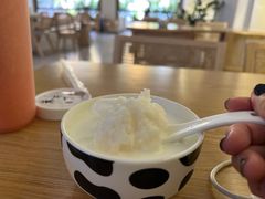 奶白酒-乍甸乳业鲜奶吧(红河水乡店)