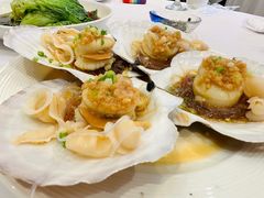 蒜蓉粉丝大夏贝-奕景酒家· 专注大连海鲜30年(星海广场店)