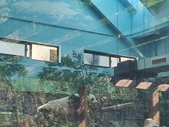 -黔灵山公园