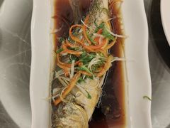 -红樱桃月嫂育婴师(徐汇总店)