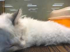 -乐宠宠物店(世纪金源店)