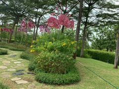 -圣淘沙名胜世界