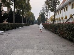 -洛阳白马寺