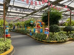 -南宫五洲植物乐园