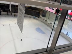 -TheRink大零溜冰场(IFS国金中心店)