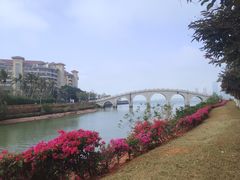 -万绿园