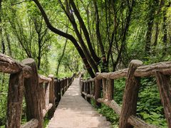 -秦岭终南山世界地质公园翠华山景区