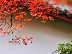 -温州永嘉书院
