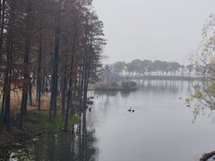 -武汉动物园
