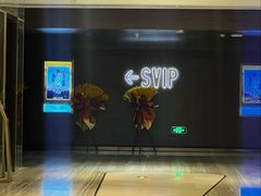 -英皇电影城(英皇集团中心IMAX店)