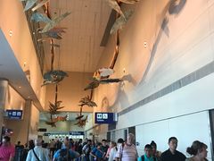 -达拉斯 沃斯堡国际机场