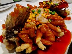 松鼠桂鱼-洋洋中餐馆·SINCE 1997(信投店)