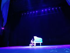 -水秀国际大剧院