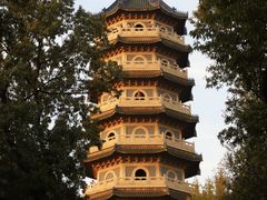 -灵谷景区