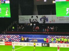 -成都金融城演艺中心