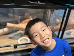 -FAIRYLAND龙族星球主题餐厅(凯丹广场店)