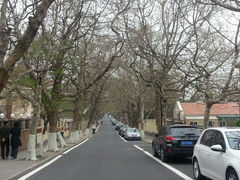 android_upload_pic-八大关景区