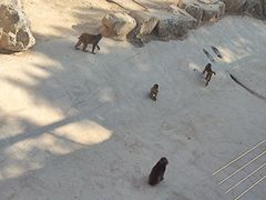 -太原动物园