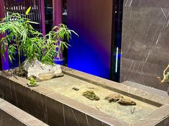 -松鹤楼·非遗·苏帮菜(融科店)