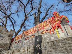 -大槐树寻根祭祖园