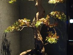 -新盈光·心院(嘉恒广场店)