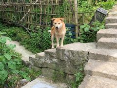 -大罗山风景区