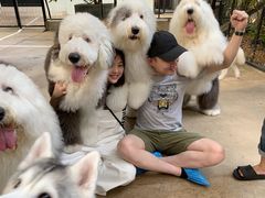 -TrueLove @ Neverland (Husky Cafe)