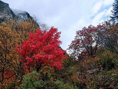 -叠溪松坪沟景区
